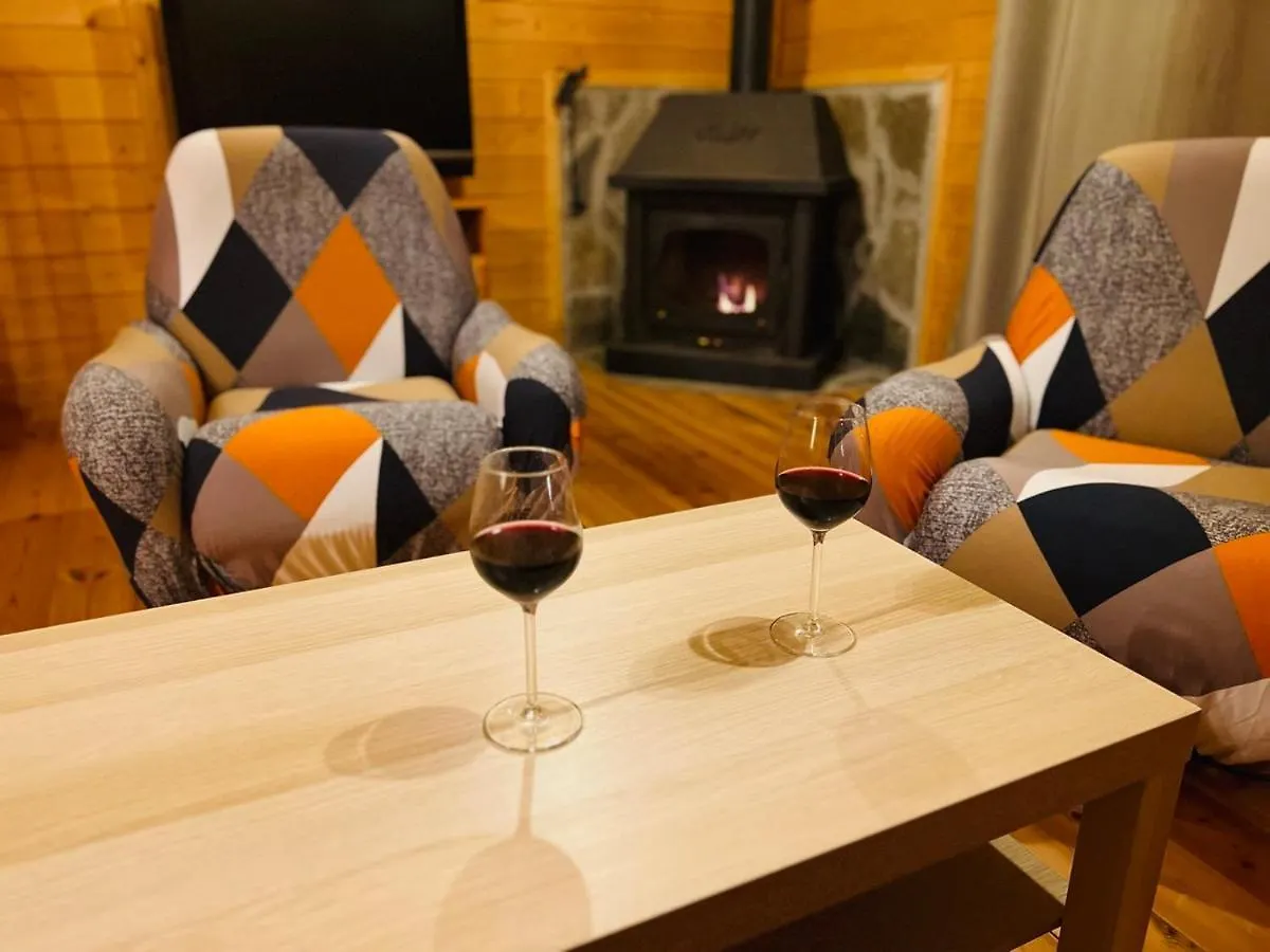 Chalet 6B Dans Les Pyrenees Proche D'Andorre Л'Оспитале-пре-л'Андорр